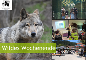 Wildes Wochenende
