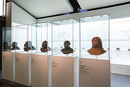 Expertenführung > Evolution des Menschen Expertenführung > Evolution des Menschen
