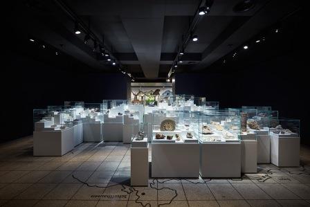 Expertenführung > Tour de Suisse der Mineralien Expertenführung > Tour de Suisse der Mineralien