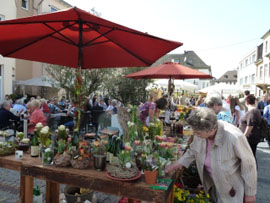 Bendorfer Bauern- und Gartenmarkt Bendorfer Bauern- und Gartenmarkt