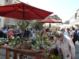 Bendorfer Bauern- und Gartenmarkt