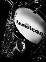 Big Band Kameleon in Concert