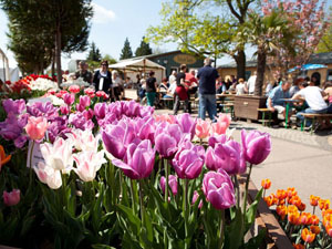 Gartenmarkt Späth’er Frühling 2022