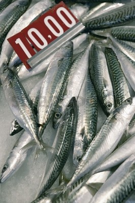 Bochumer Fischmarkt Bochumer Fischmarkt
