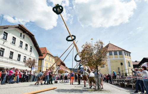 Traditionelles Maibaumaufstellen