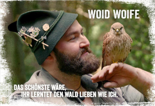 Woid Woife erklärt seine Welt Woid Woife erklärt seine Welt