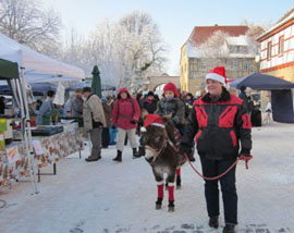 Regionaler Bauernmarkt Braunsroda