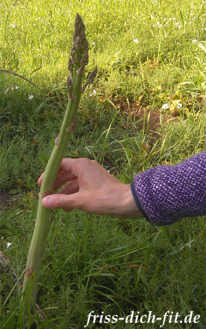 Culinaricum: Spargel