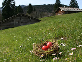 Ostereiersuche 2019 Ostereiersuche 2019