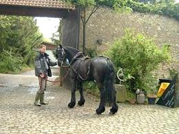 Mühlenfest auf der Mohrenmühle Mühlenfest auf der Mohrenmühle