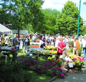 Hamelner Blütenzauber 2010 Hamelner Blütenzauber 2010