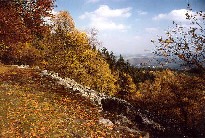  Geführte Wanderungen auf dem Saar-Hunsrück-Steig