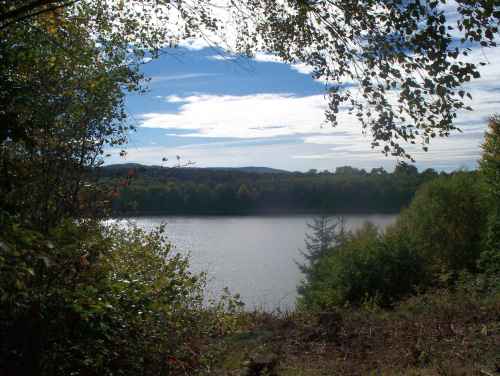 Geführte Wanderung auf dem Köhlerpfad am Steinbach