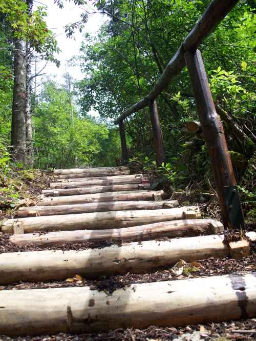 Geführte Wanderungen über die Traumschleife Mittelalterpfad Geführte Wanderungen über die Traumschleife Mittelalterpfad