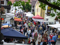 Mitterfelser Markt-Meile mit Regionaltag 2008 Mitterfelser Markt-Meile mit Regionaltag 2008