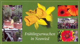 Frühlingserwachen in Neuwied