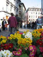 Koblenz blüht Koblenz blüht