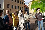 Öffentliche Altstadtführung in Pirna 2023 Öffentliche Altstadtführung in Pirna 2023