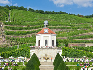 WeinLESE mit Wolfgang Hohlbein WeinLESE mit Wolfgang Hohlbein