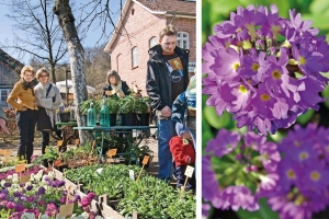 Pflanzenmarkt am Kiekeberg Pflanzenmarkt am Kiekeberg