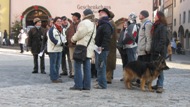 Stadtführung Rothenburg ob der Tauber