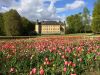 Schlossfrühling Schloss Dyck