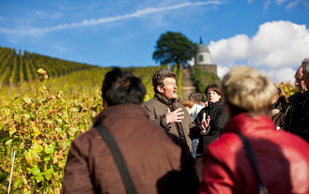 WeinWanderWochenende WeinWanderWochenende