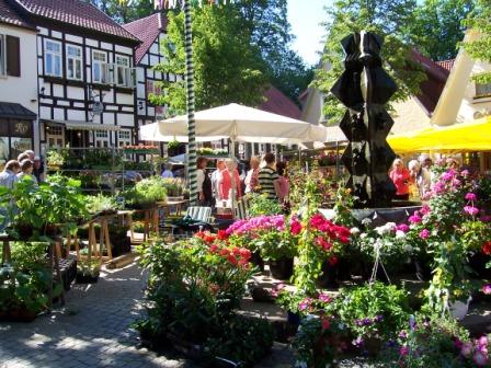 Geranien- und Frühlingsmarkt Geranien- und Frühlingsmarkt