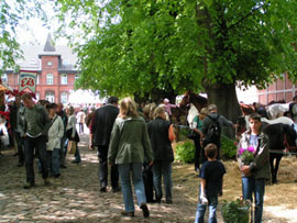 Traventhaler Landmarkt