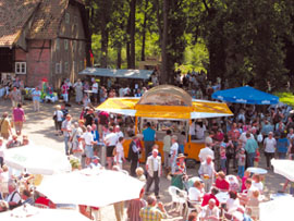 Ginsengfest auf dem historischen Helkenhof 2024 Ginsengfest auf dem historischen Helkenhof 2024